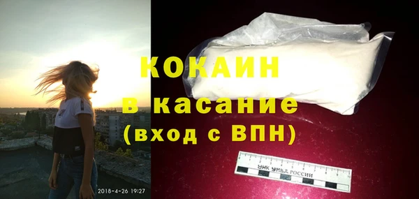 твердый Алексин