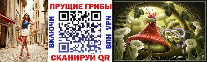 Галлюциногенные грибы MAGIC MUSHROOMS  цены наркотик  Андреаполь 